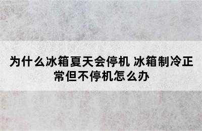 为什么冰箱夏天会停机 冰箱制冷正常但不停机怎么办